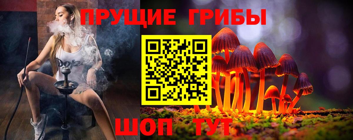 Галлюциногенные грибы мухоморы Энгельс
